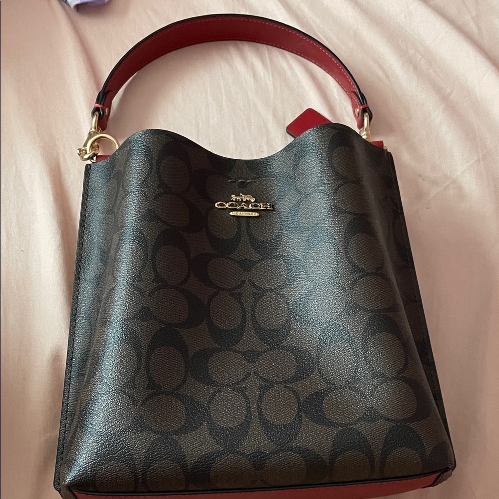 Coach Mollie Bucket Bag 22